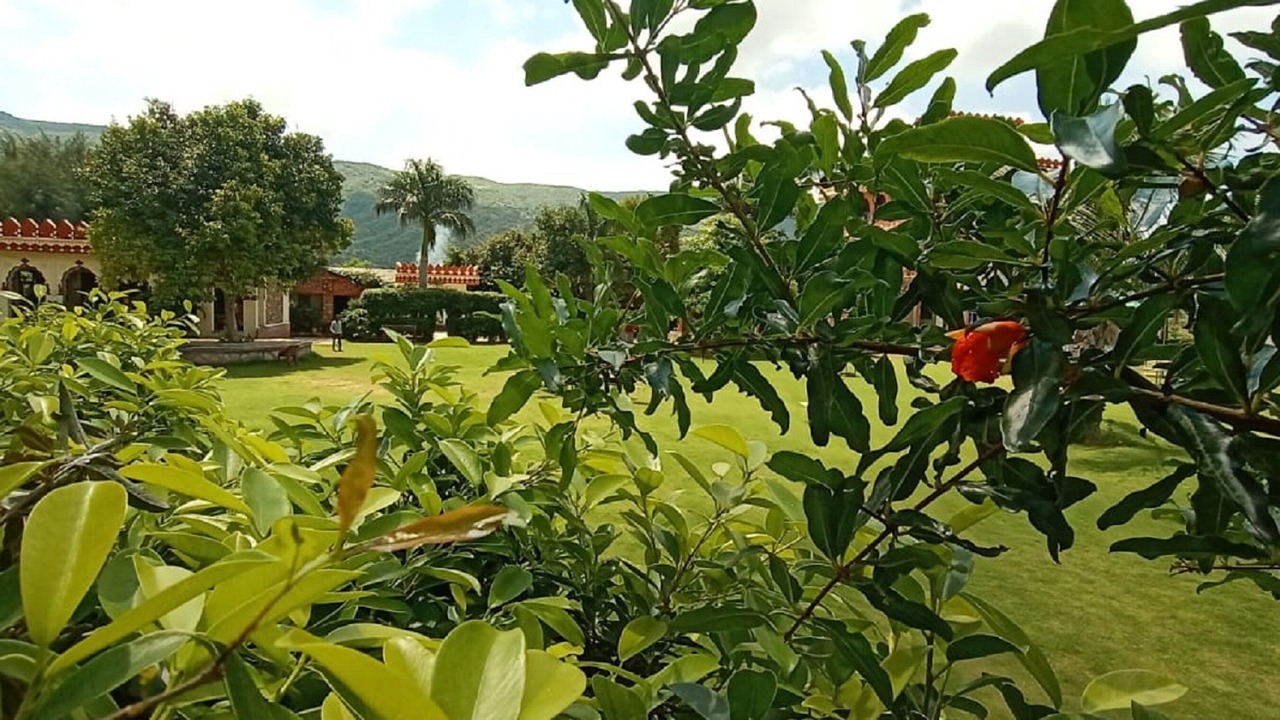 Photo of Outdoor in Pushkar