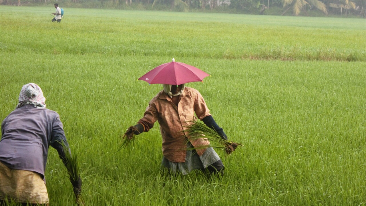 Photo of Outdoor in Ambalapuzha