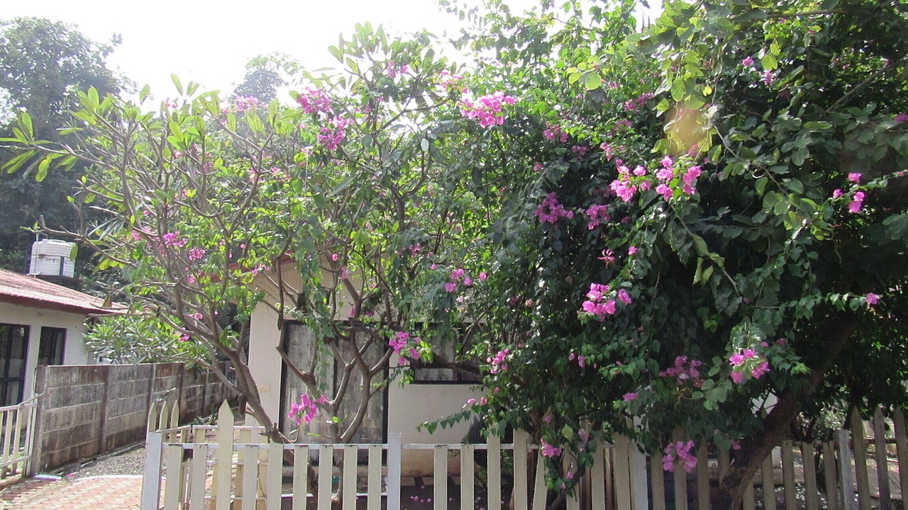 Photo of Outdoor in Karjat