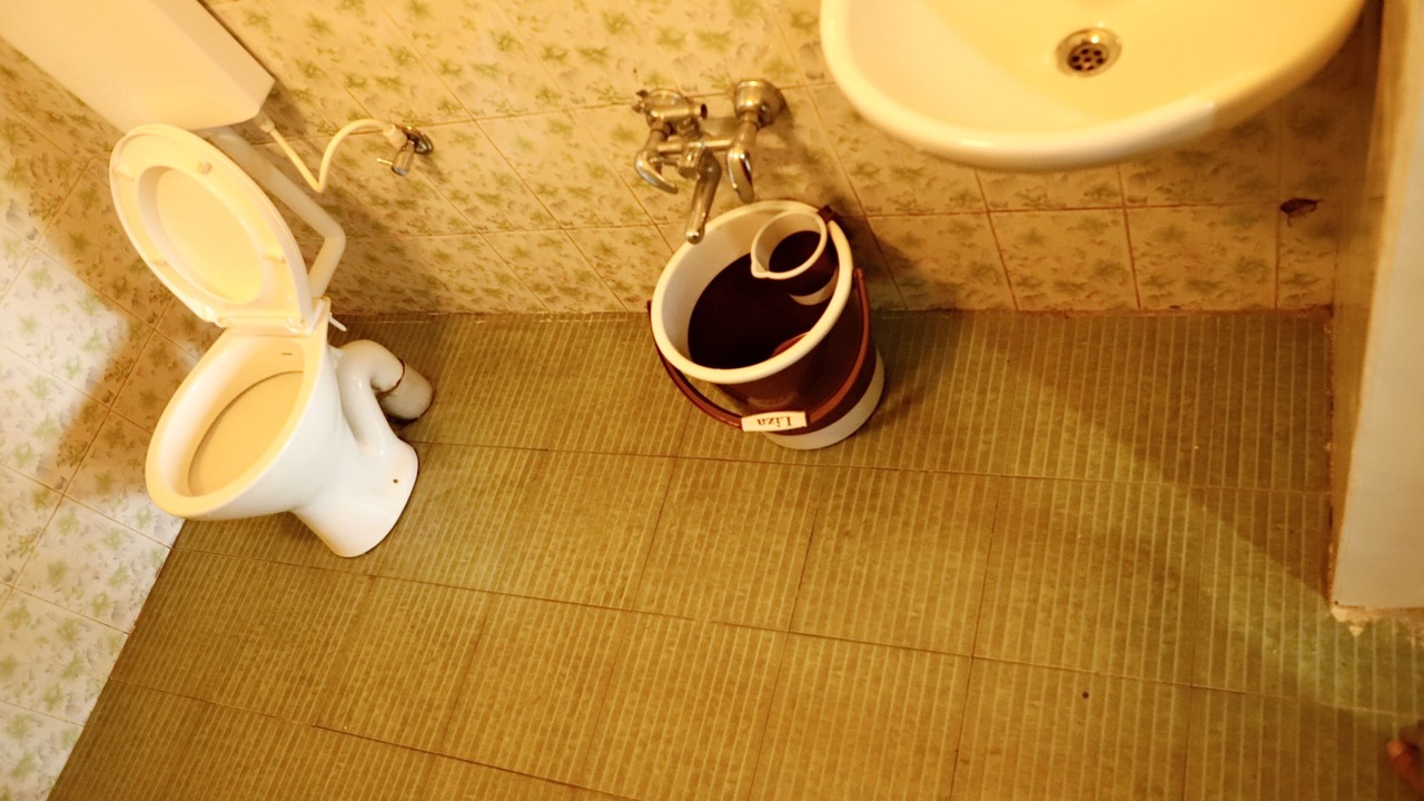 Photo of Bathroom in Elappara