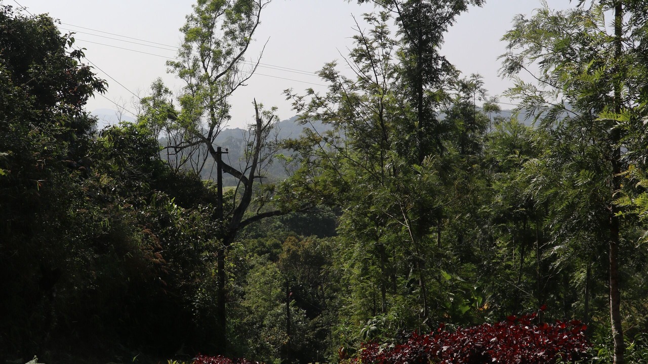 Photo of Outdoor in Madikeri