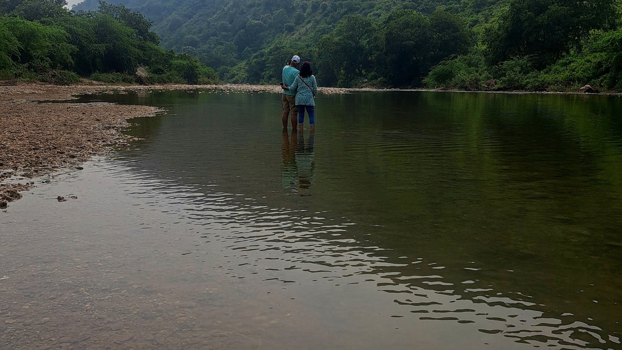 Photo of Others in Udaipur District
