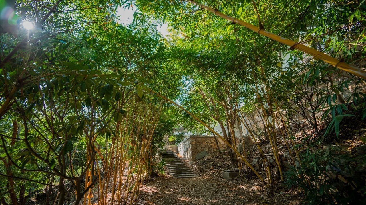 Photo of Outdoor in Bedla