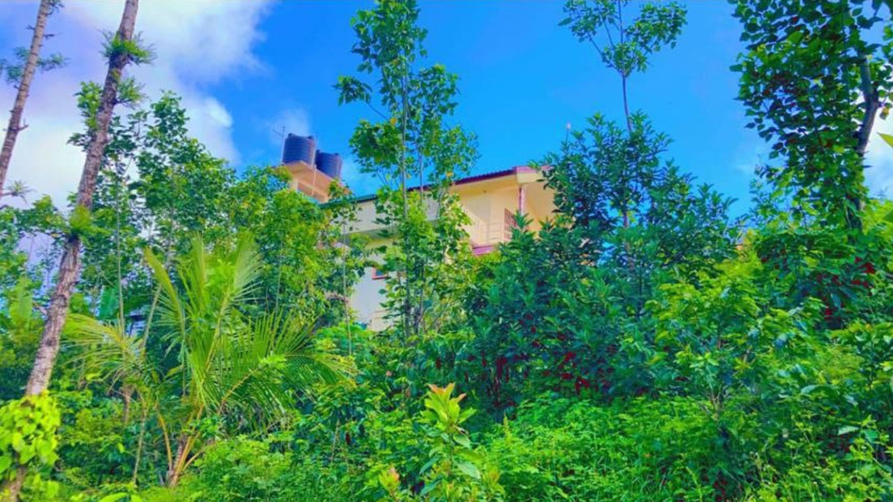Photo of Outdoor in Stuart Hill