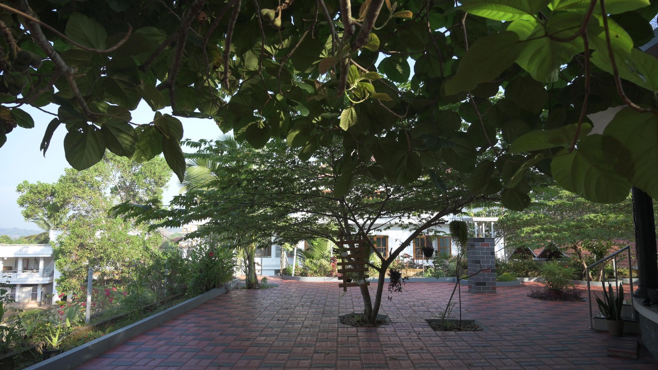 Photo of Outdoor in Anchal