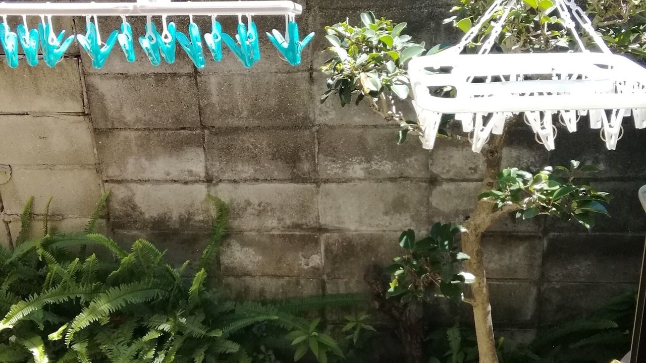Photo of Outdoor in Kita Ward