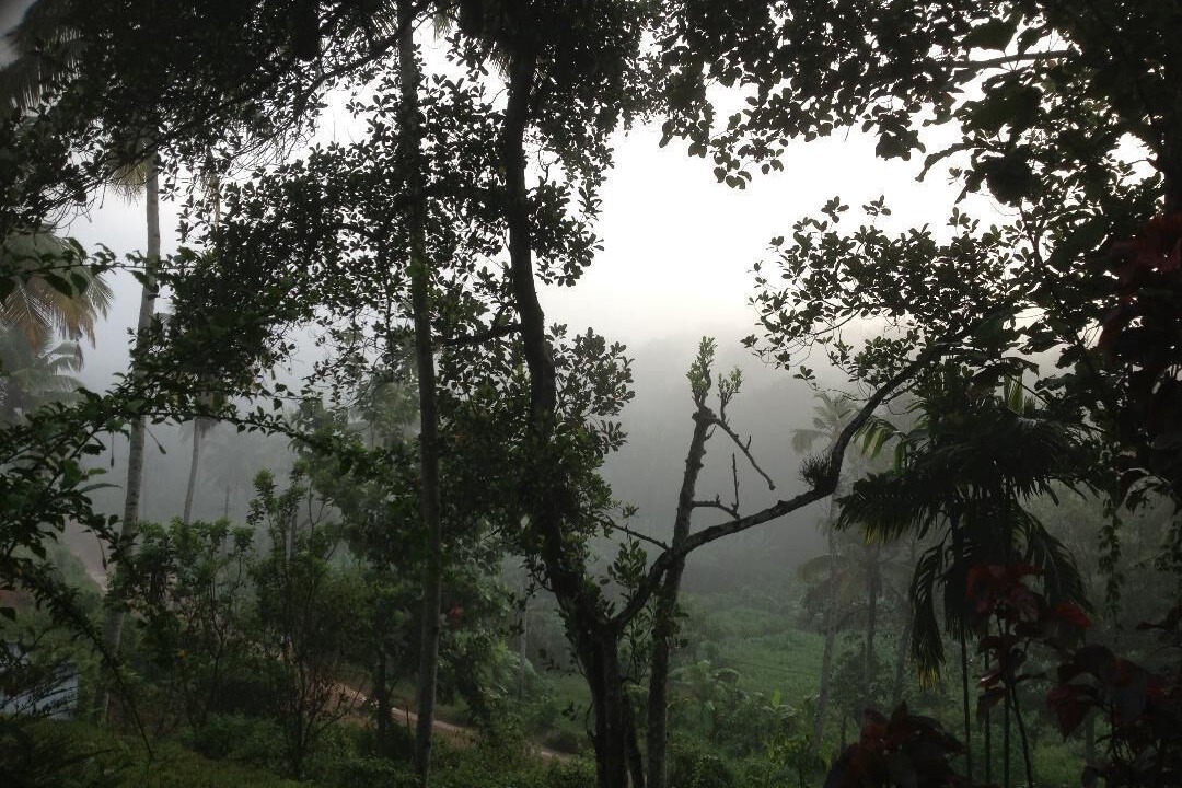 Photo of Outdoor in Kulanada