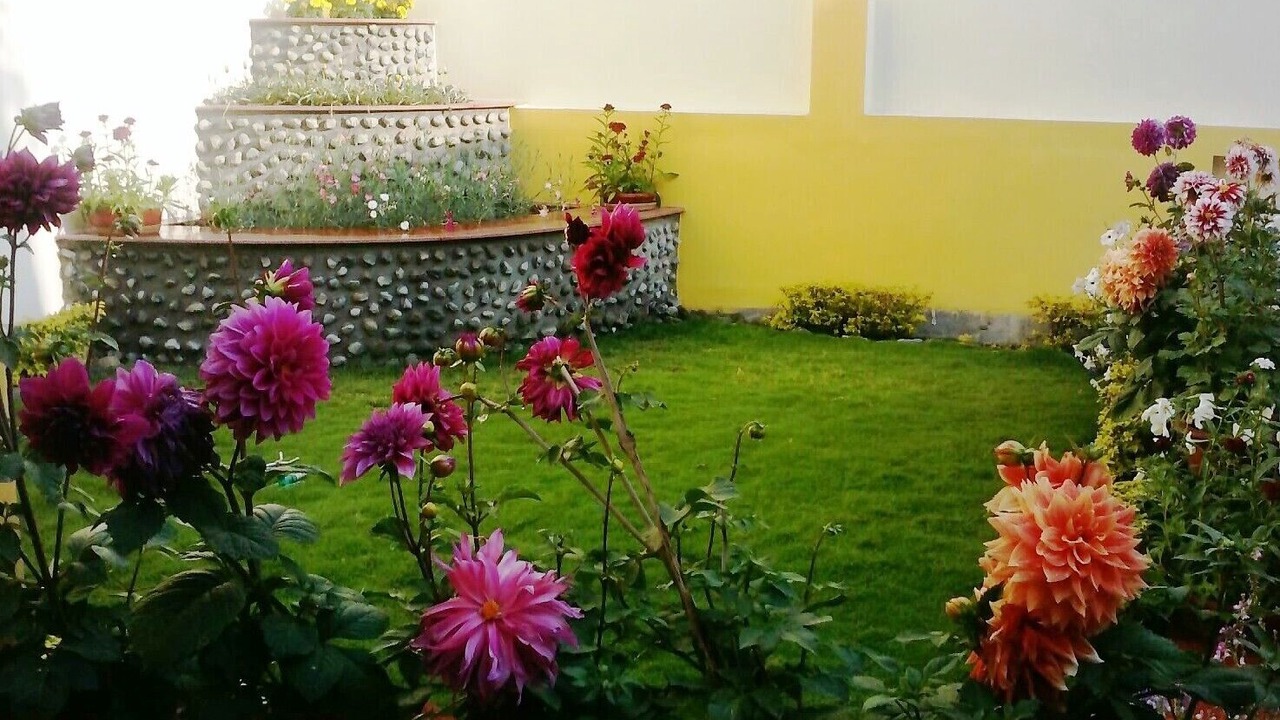 Photo of Outdoor in Gomti Nagar