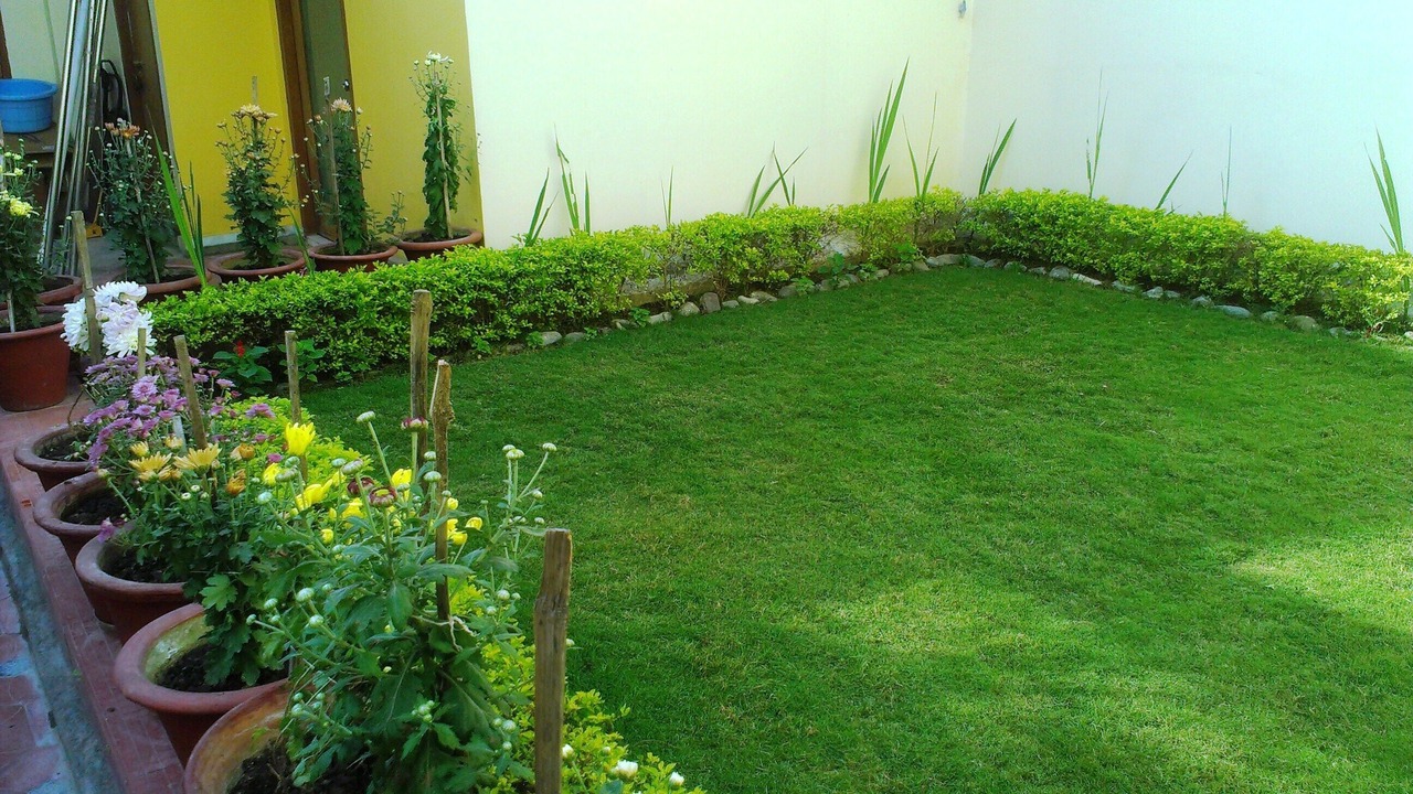Photo of Outdoor in Gomti Nagar