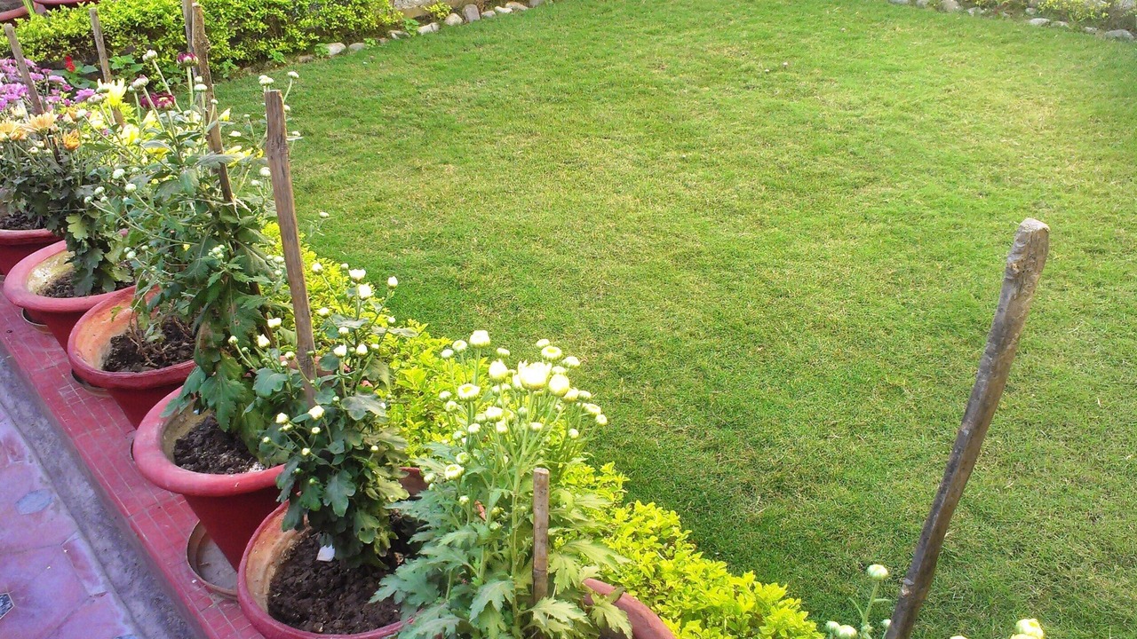 Photo of Outdoor in Gomti Nagar