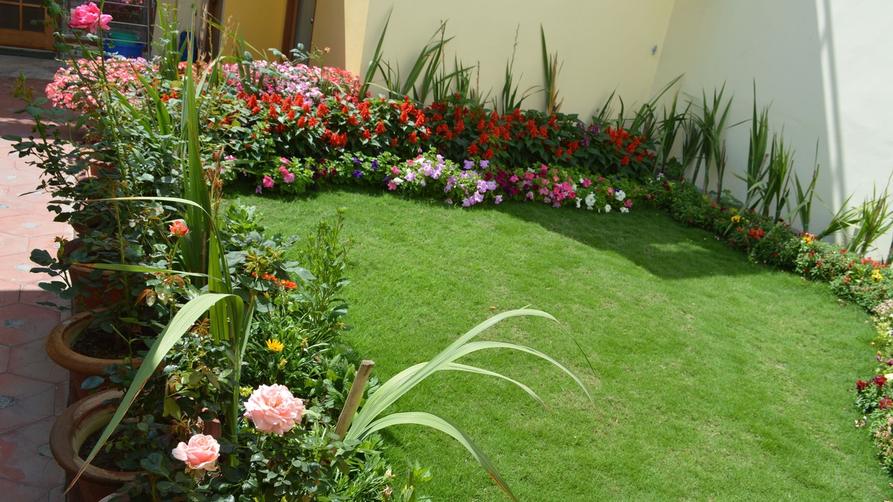 Photo of Outdoor in Gomti Nagar