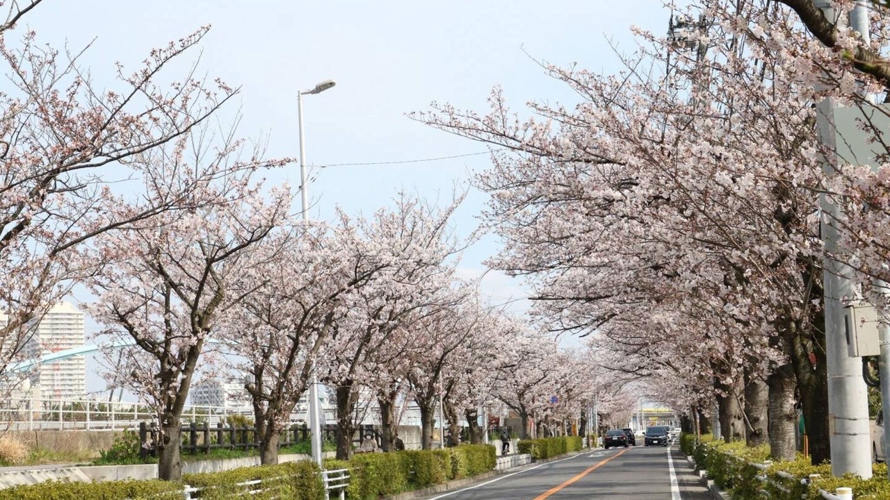 Photo of Outdoor in Urayasu