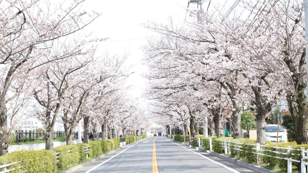 Photo of Outdoor in Urayasu