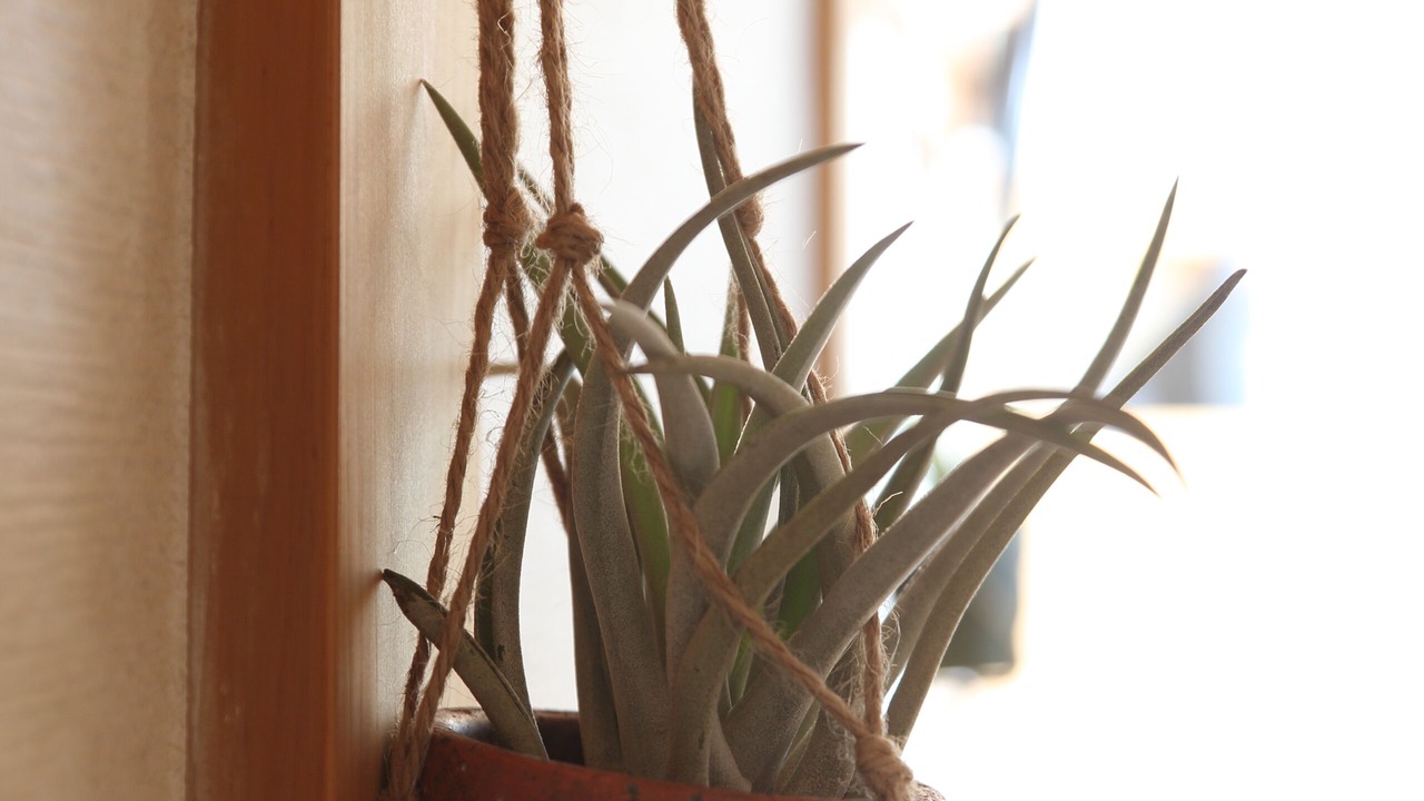 Photo of Others in Higashisumiyoshi-ku
