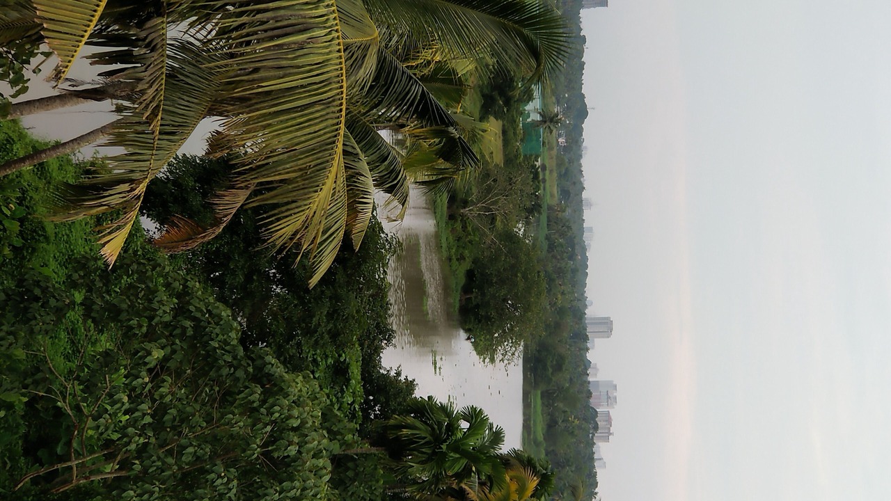 Photo of Outdoor in Kakkanad