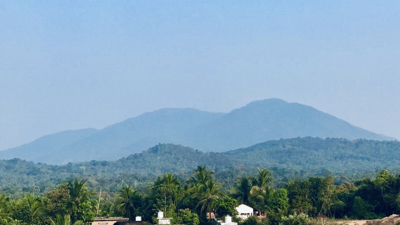 Photo of Others in Thalassery