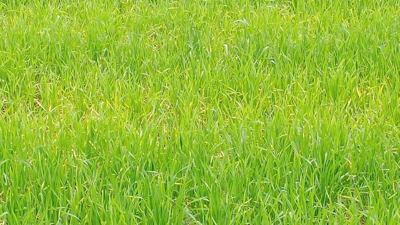 Photo of Outdoor in Nivari