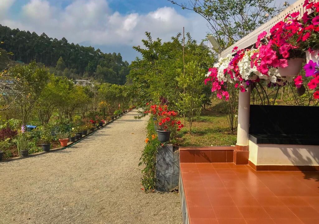 Photo of Outdoor in Devikolam
