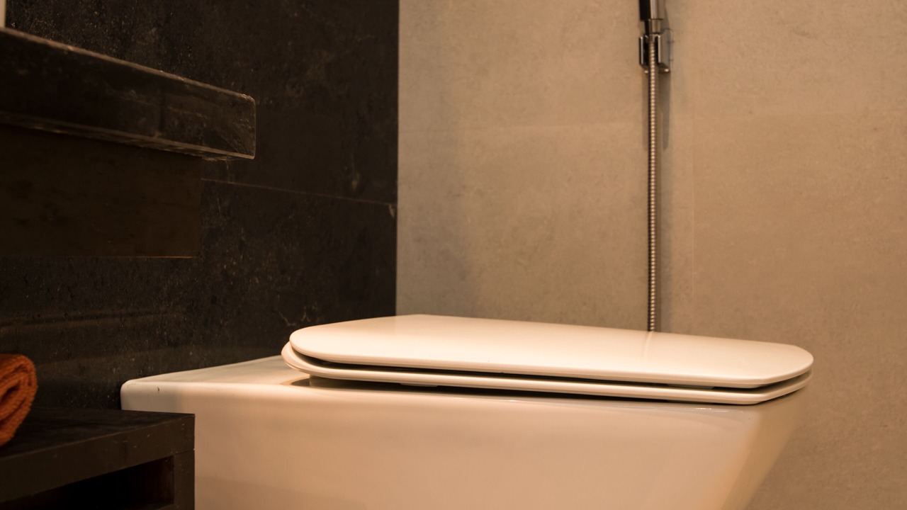 Photo of Bathroom in Lalkothi