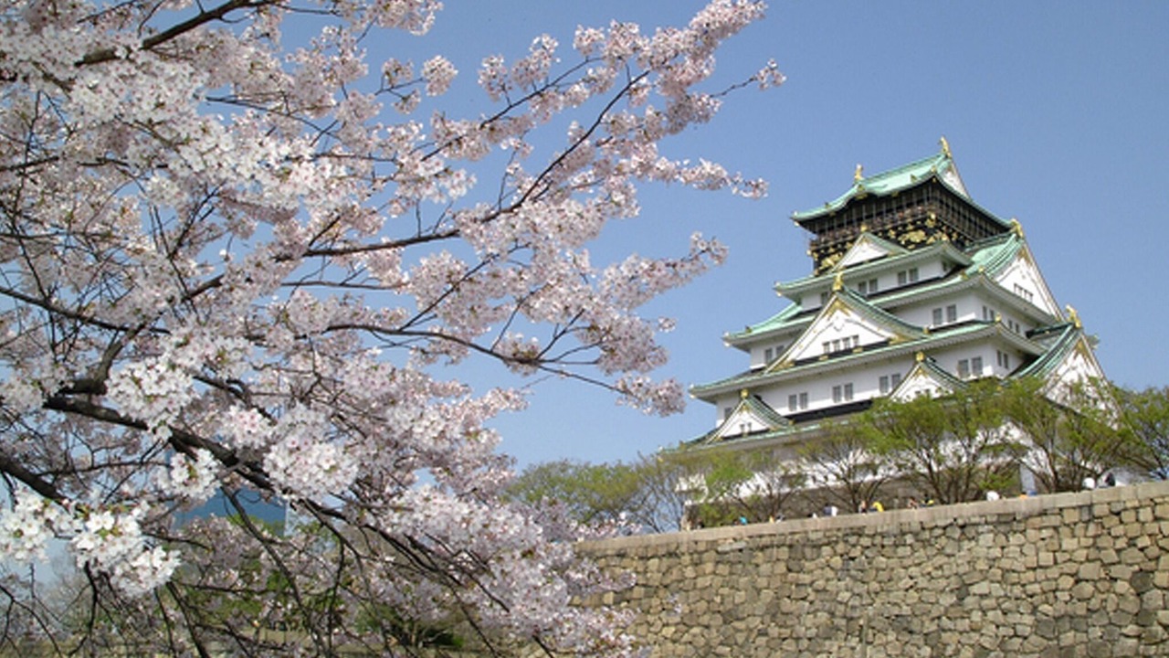 Photo of Others in Higashinari