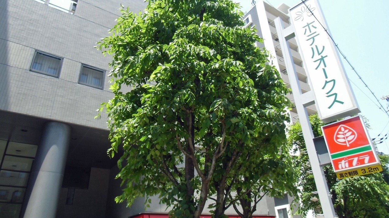 Photo of Others in Higashinari