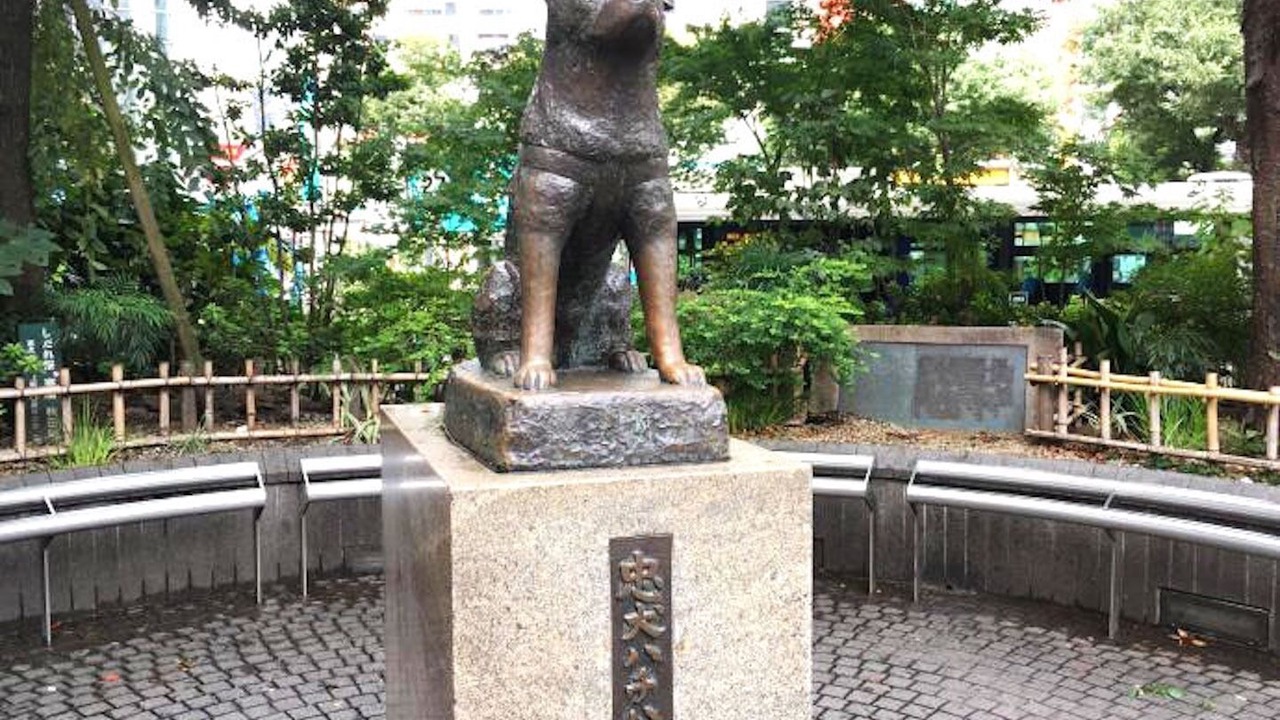 Photo of Outdoor in Higashi