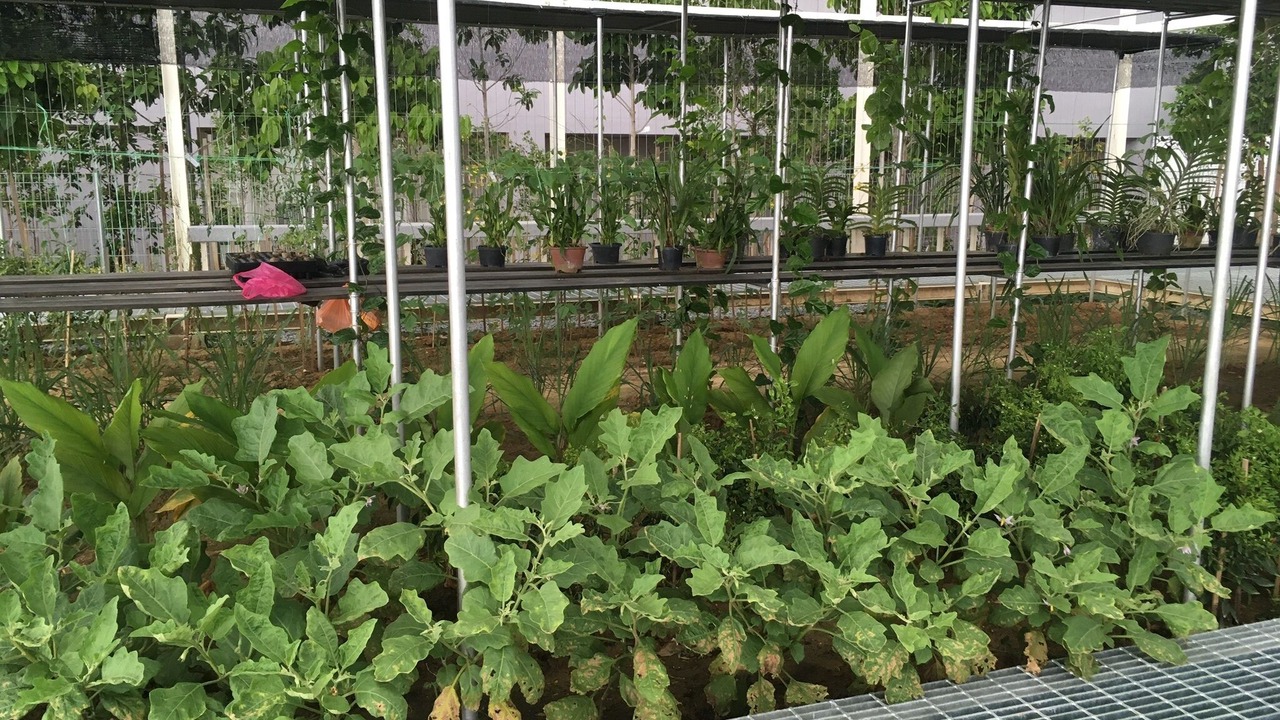 Photo of Outdoor in Cyberjaya