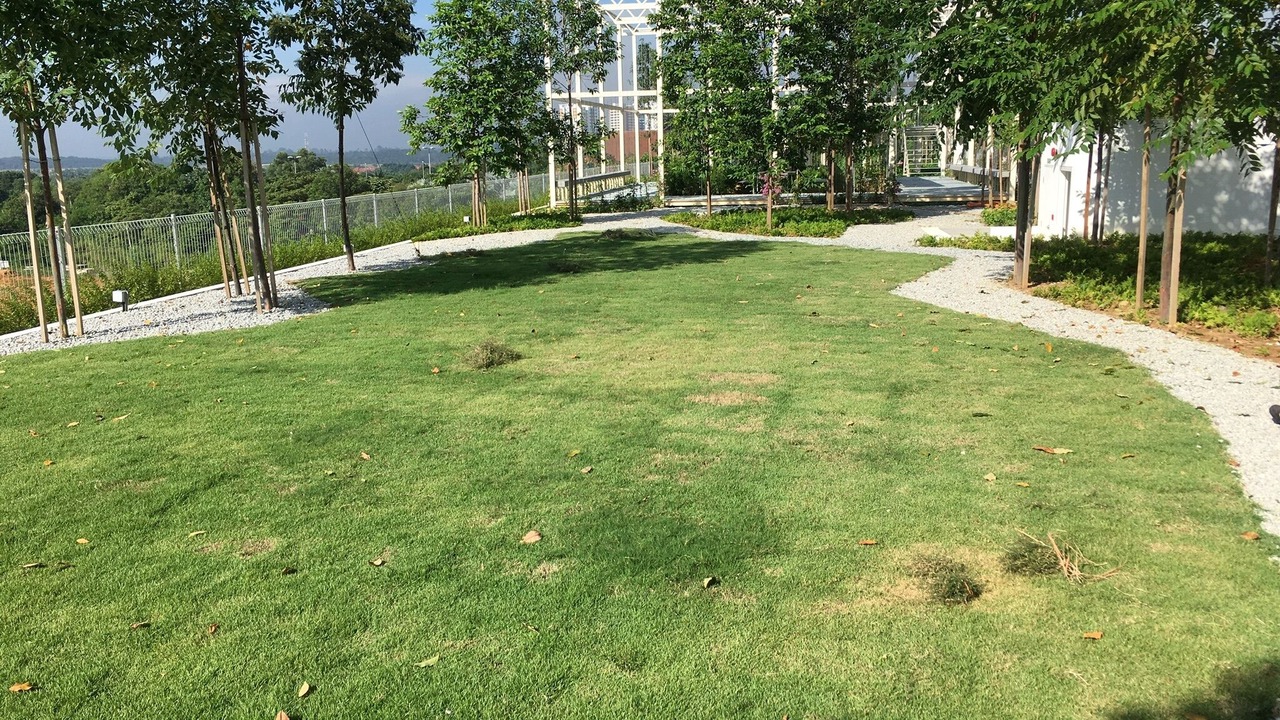 Photo of Outdoor in Cyberjaya