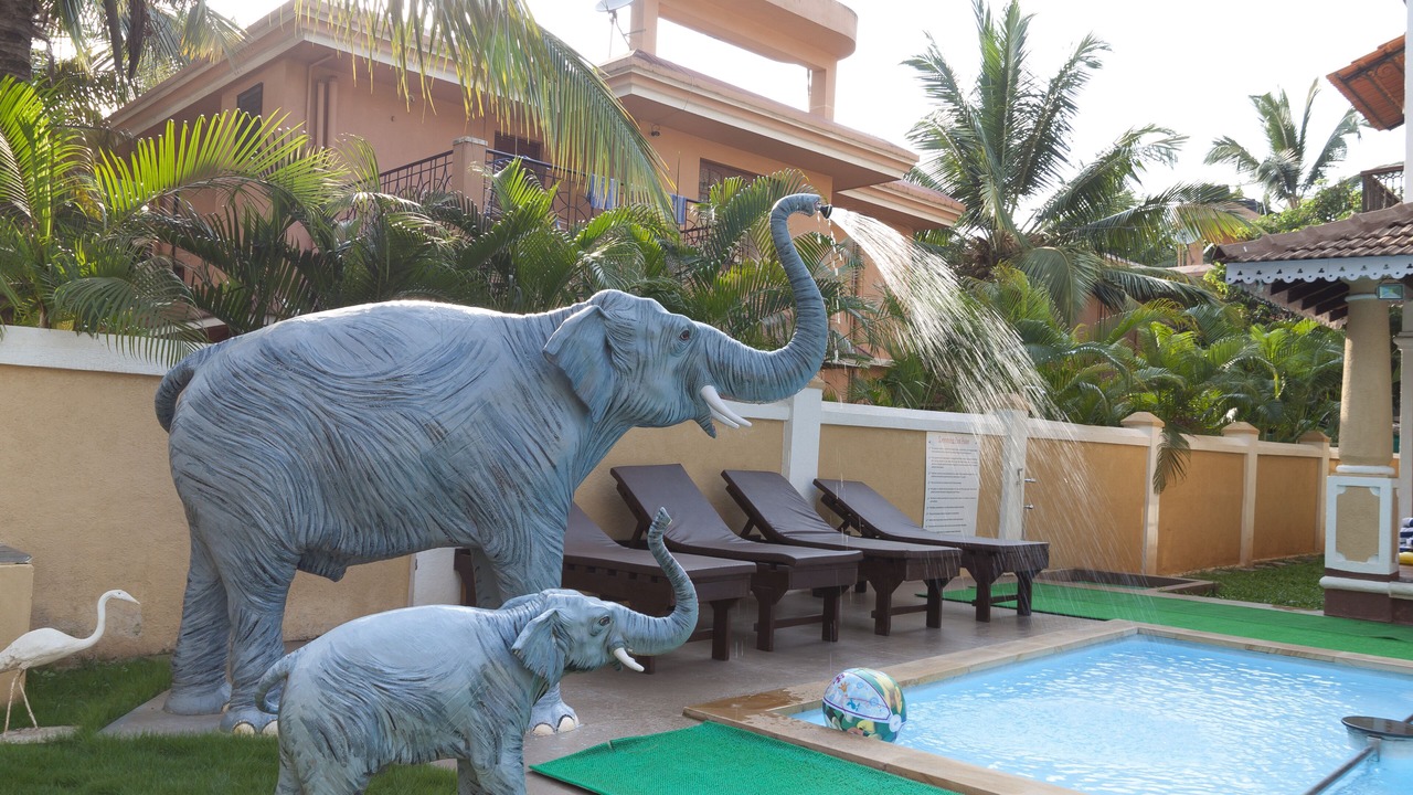 Photo of Outdoor in Calangute