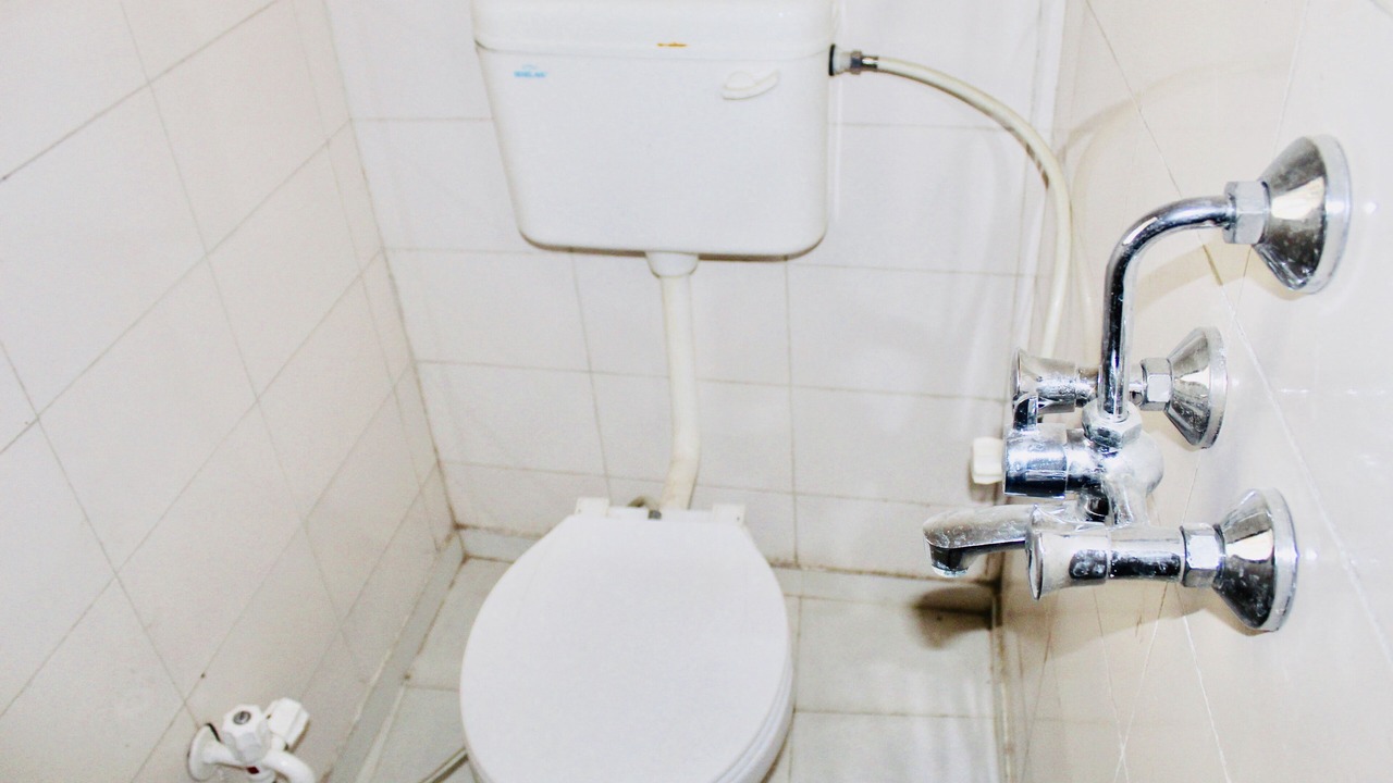 Photo of Bathroom in Pink City