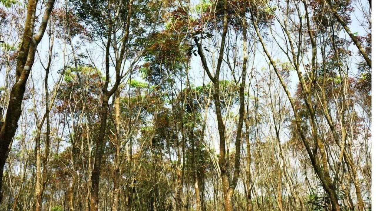 Photo of Outdoor in Civil Station