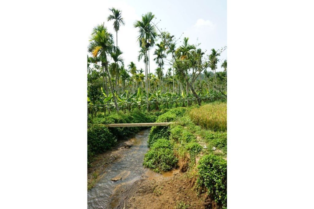 Photo of Outdoor in Civil Station