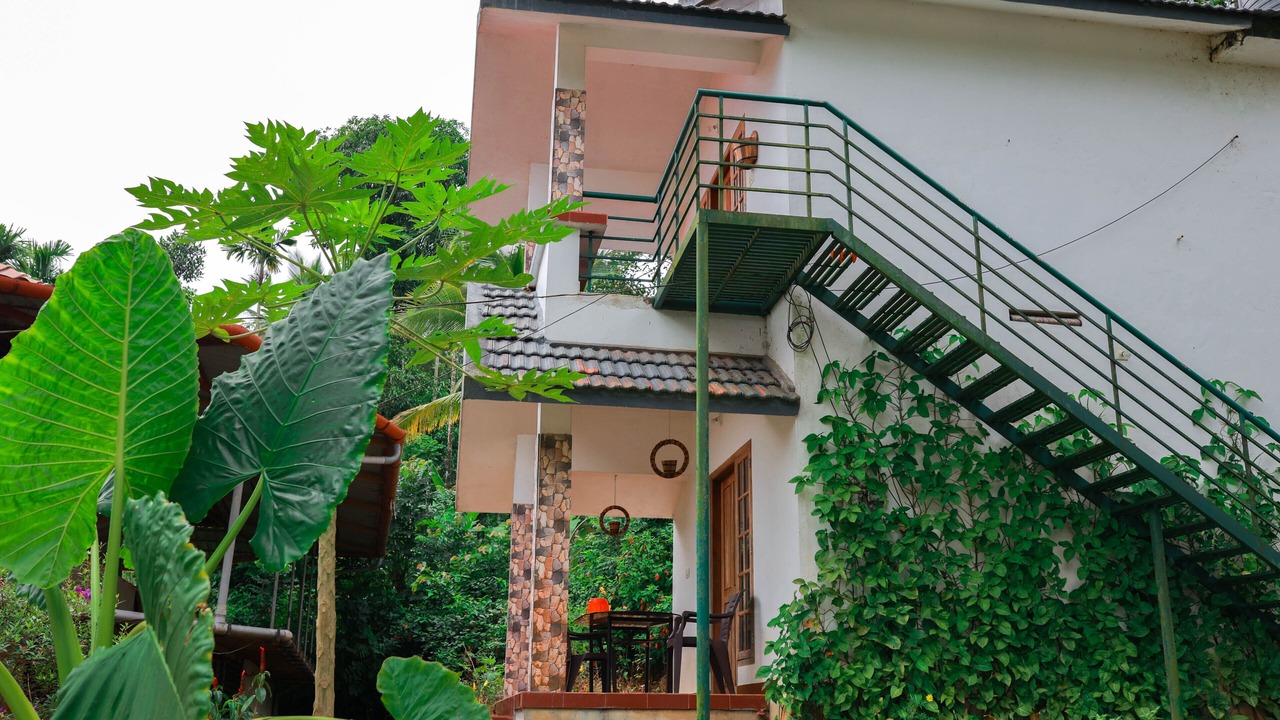 Photo of Outdoor in Panamaram