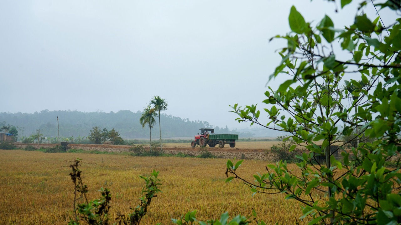 Photo of Outdoor in Panamaram