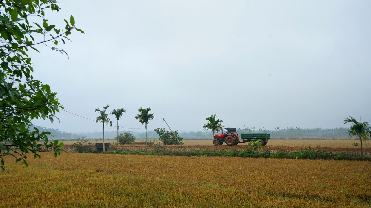 Photo of Outdoor in Panamaram
