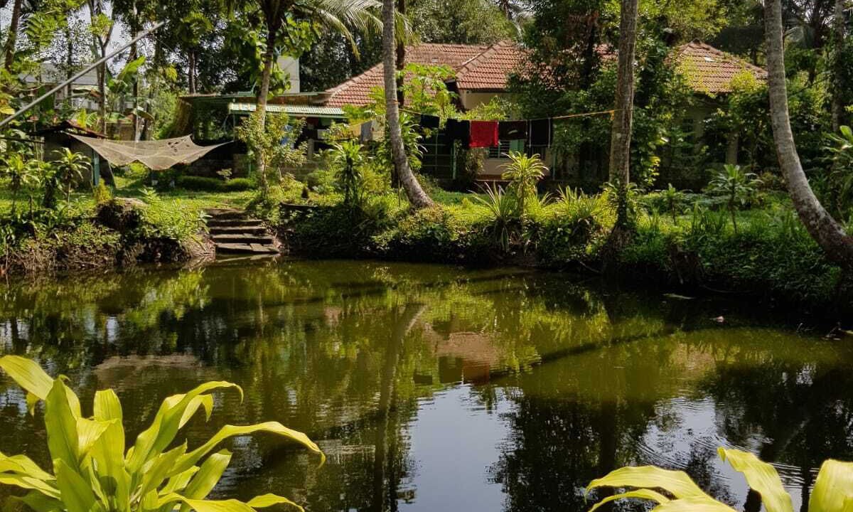 Photo of Outdoor in Pattanakkad