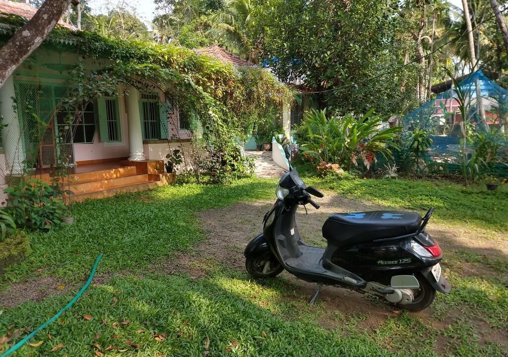 Photo of Outdoor in Pattanakkad