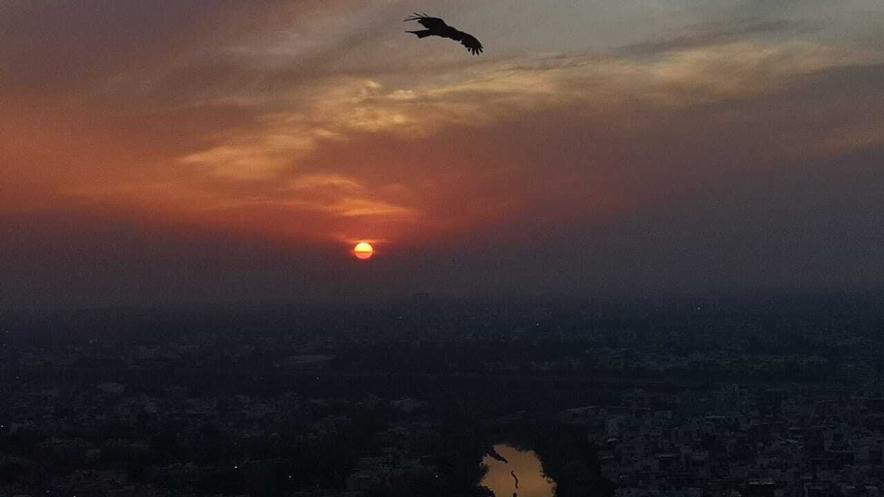 Photo of Others in New Delhi