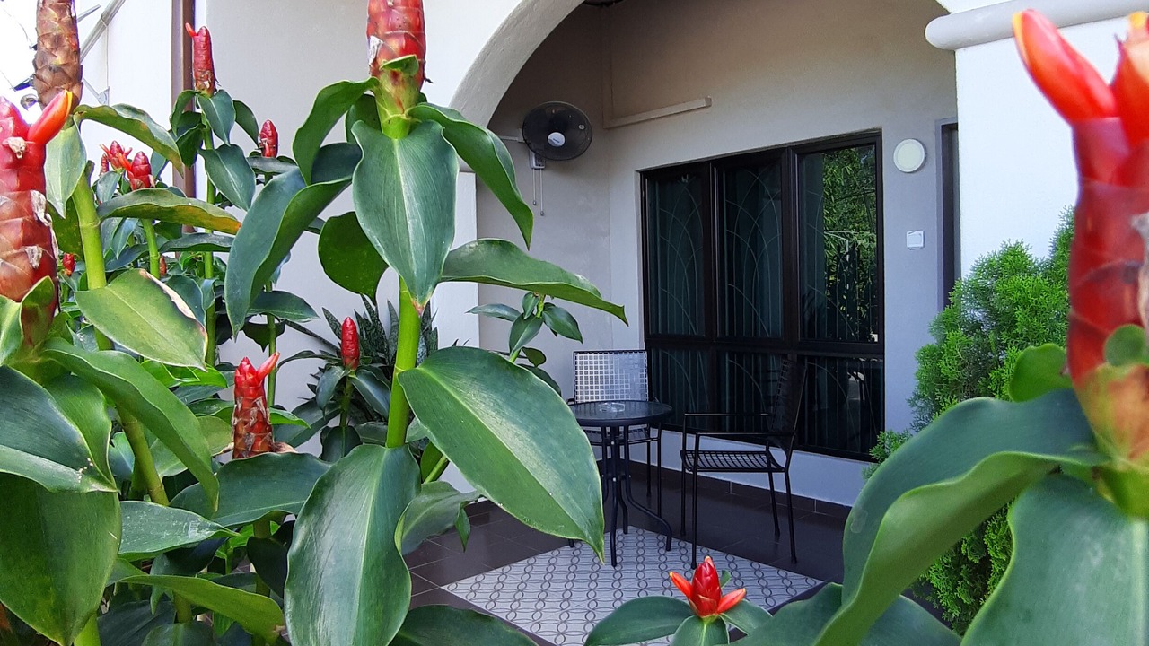 Photo of Outdoor in Dato Abu Bakar Baginda