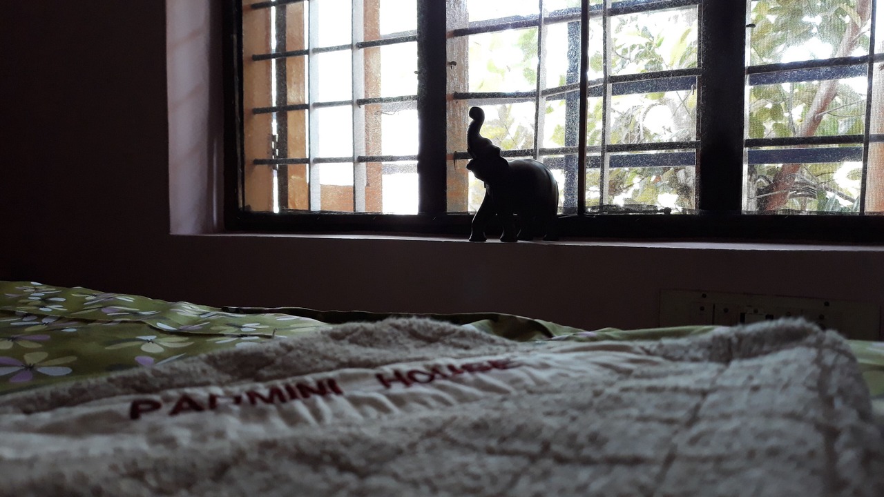 Photo of Bedroom in Kovalam