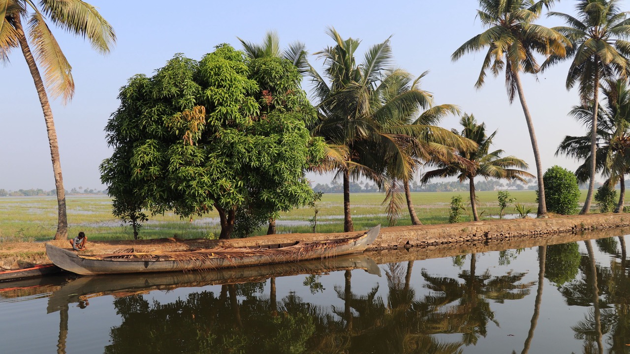 Photo of Outdoor in Alappuzha