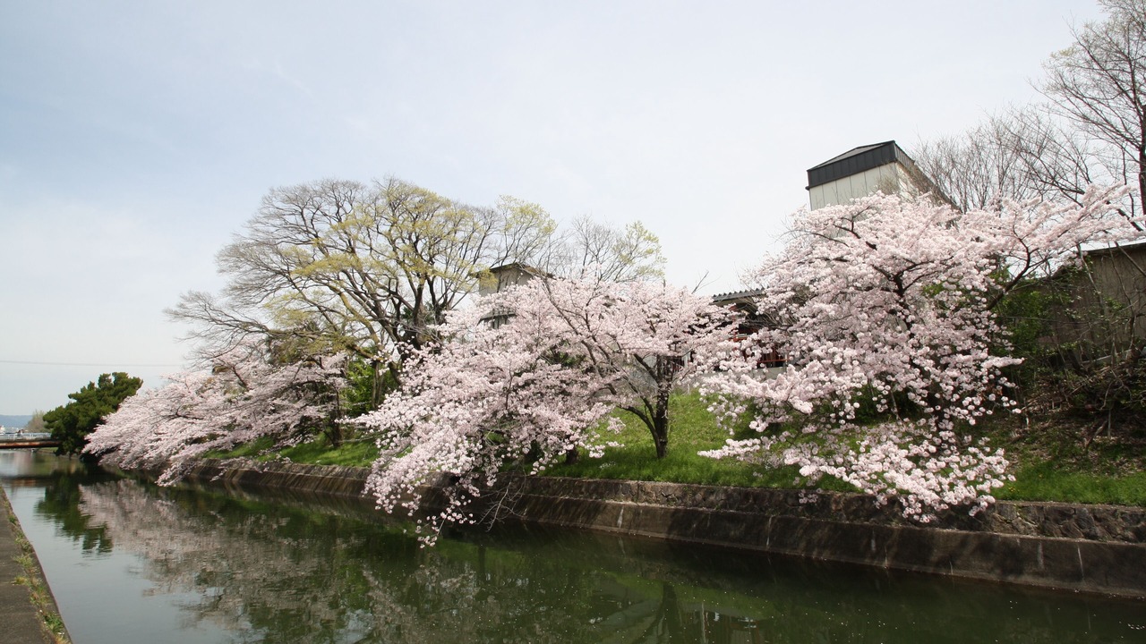 Photo of Outdoor in Fushimi
