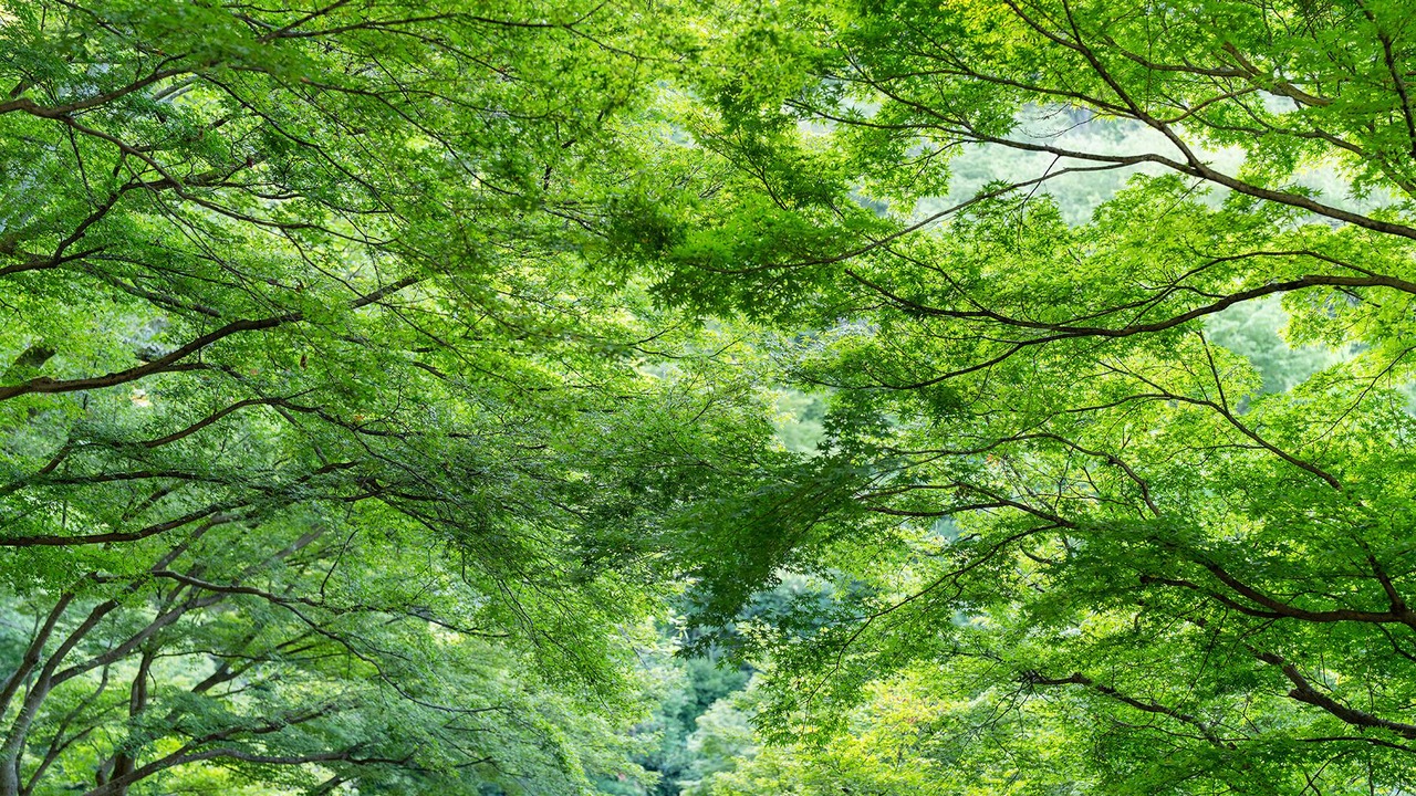 Photo of Outdoor in Sannenzaka Ninenzaka