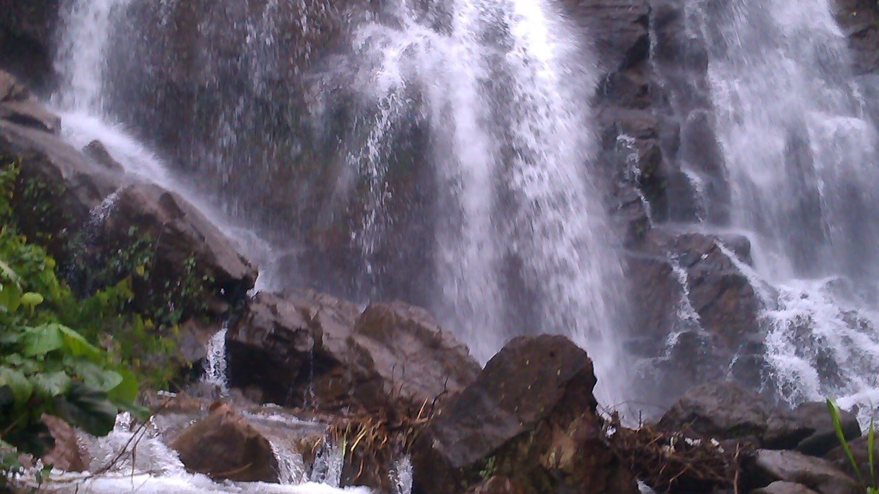 Photo of Others in Elappara
