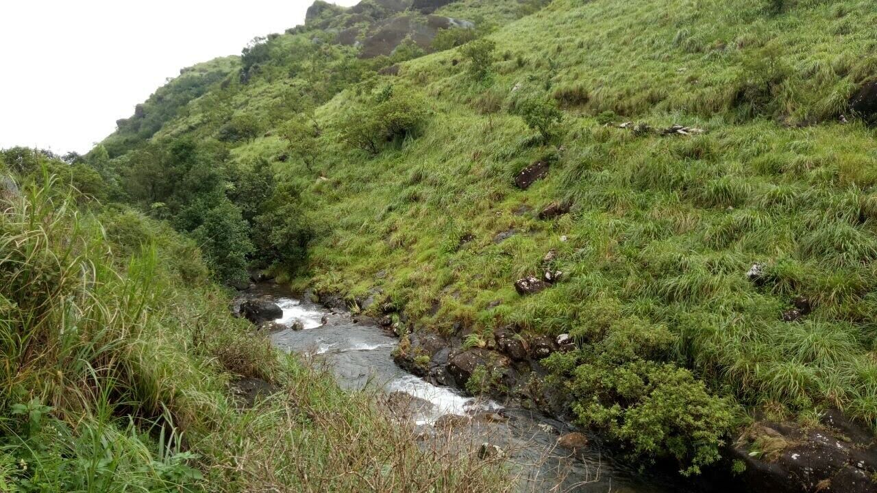 Photo of Outdoor in Elappara
