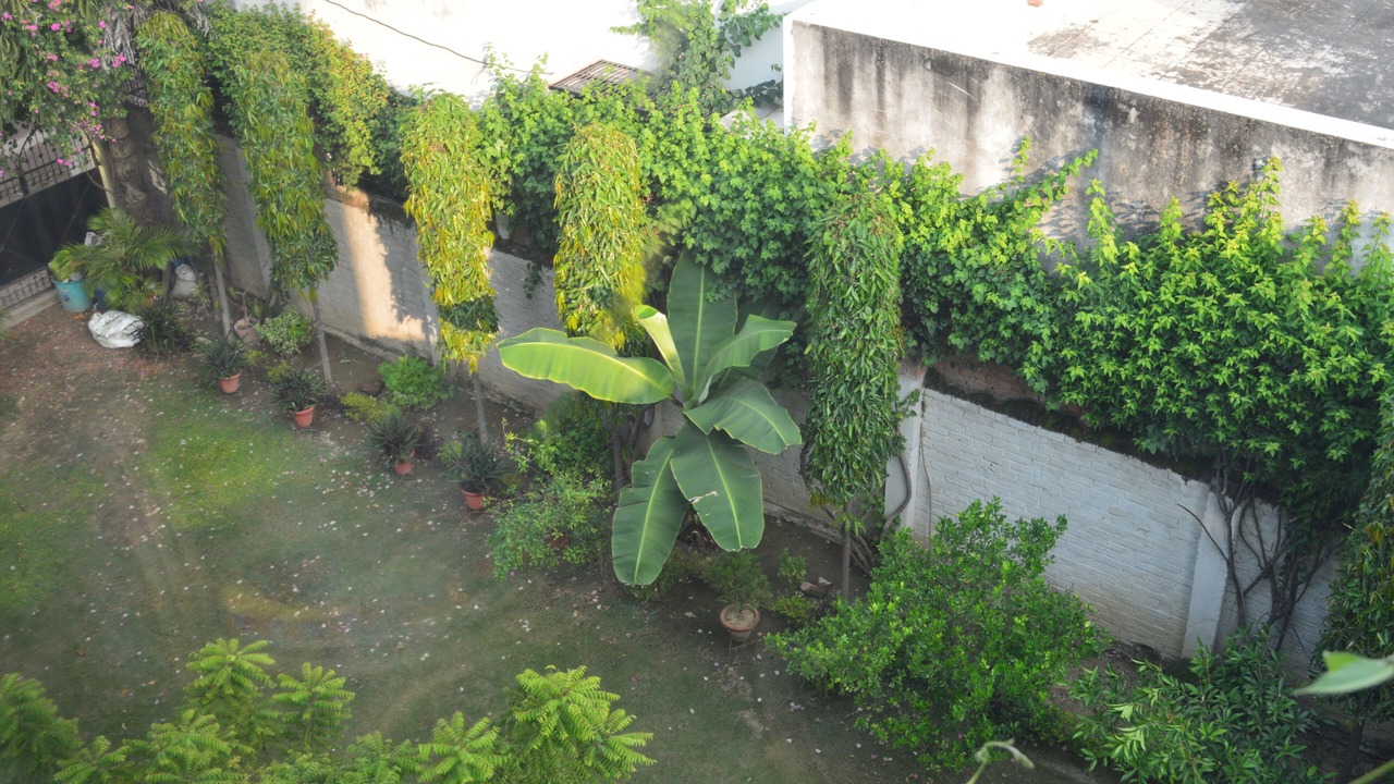 Photo of Outdoor in Alambagh