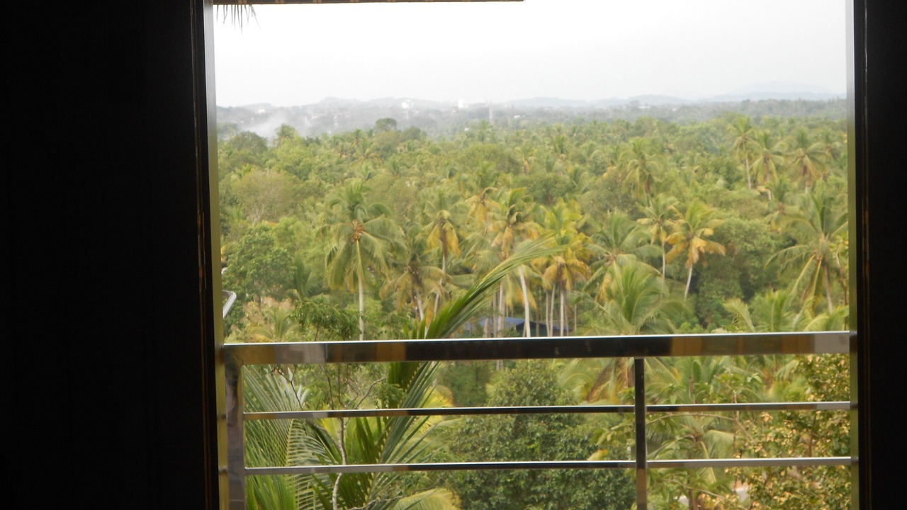 Photo of Others in Thiruvananthapuram