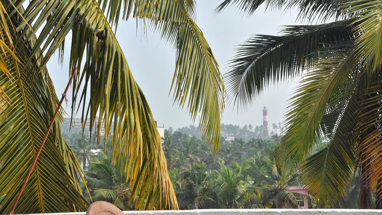 Photo of Outdoor in Kovalam