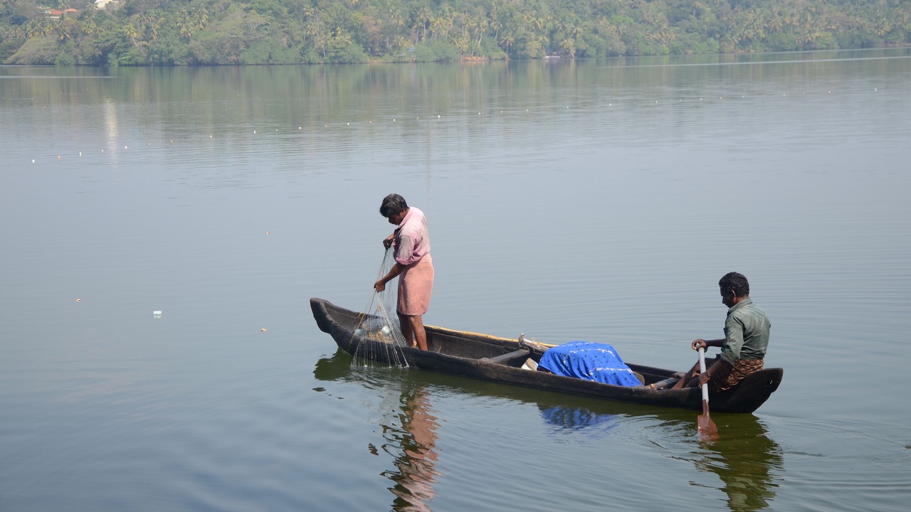 Photo of Others in Quilon