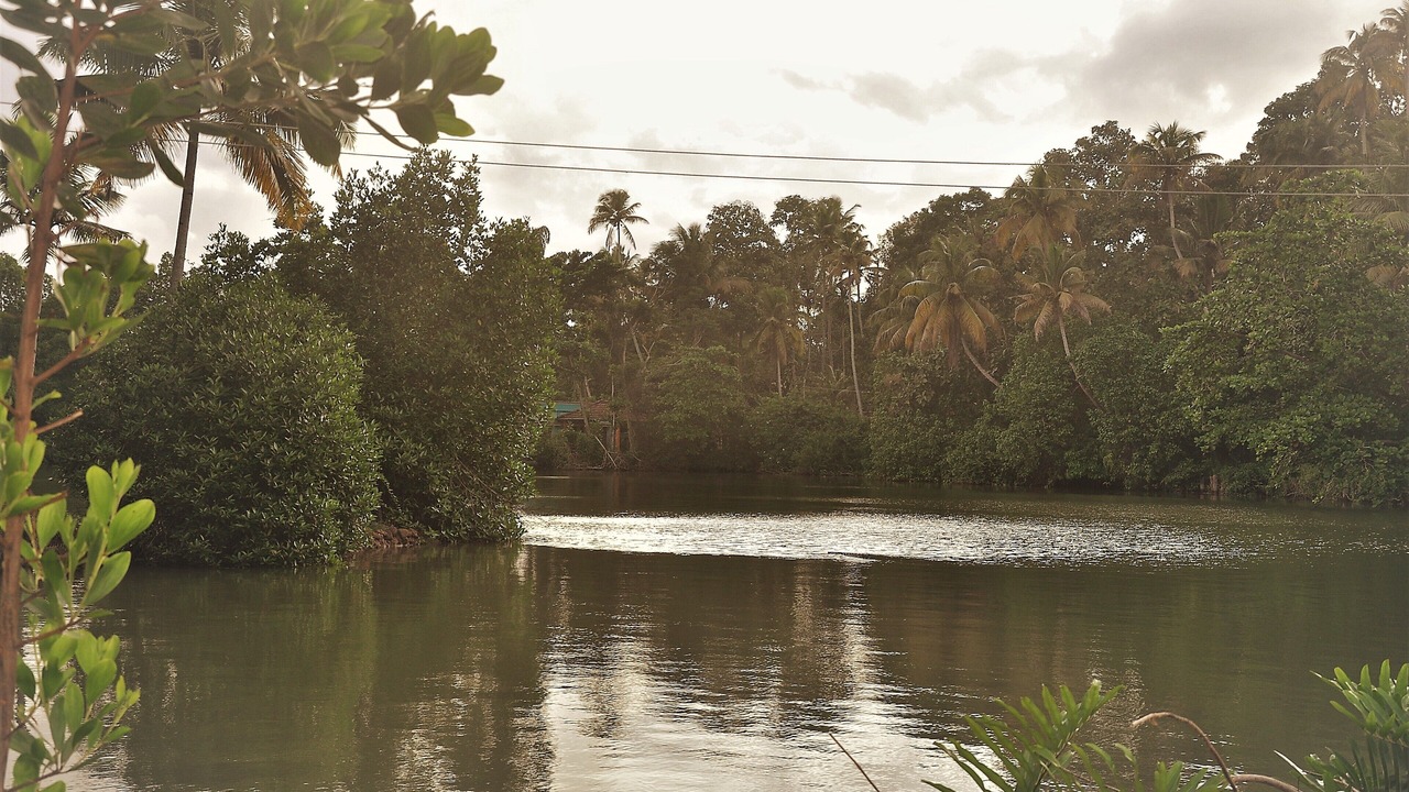 Photo of Outdoor in Quilon
